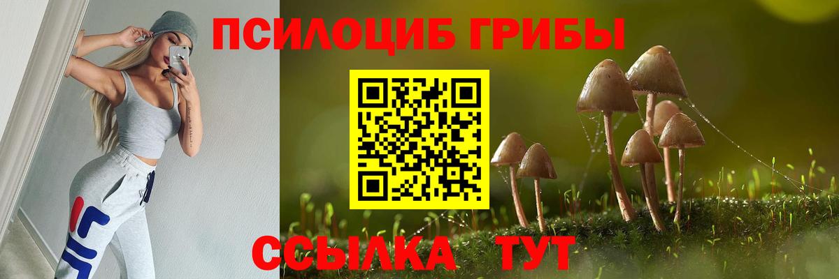 Псилоцибиновые грибы прущие грибы Учалы